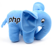 PHP Developer